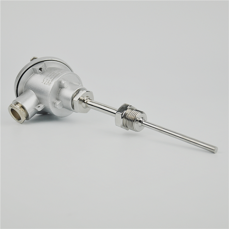 Pt100�����y����̖����